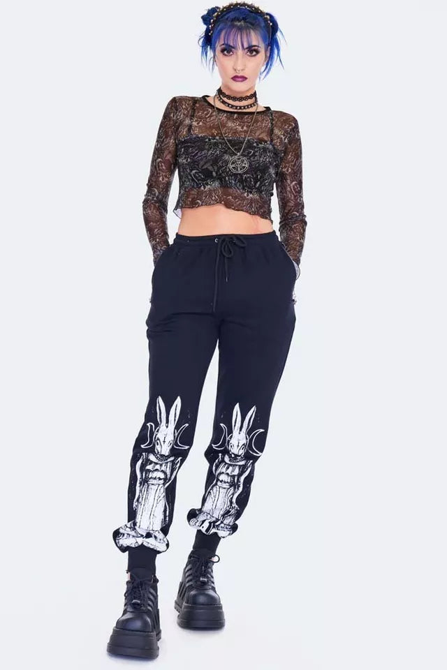 Gothic Night Owl Long Sleeve Mesh Top Punk Alternative Fashion Cropped Top
